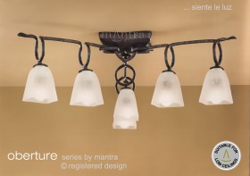 Oberture Ceiling Lights Mantra Traditional Ceiling Lights Oberture Ceiling Lights Mantra Traditional Ceiling Lights
